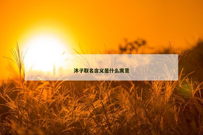 沐子取名含义是什么寓意