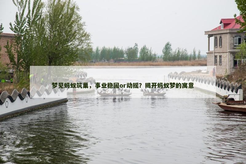梦见蚂蚁筑巢,事业稳固or动摇?揭开蚂蚁梦的寓意