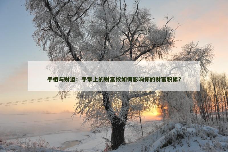 手相与财运:手掌上的财富纹如何影响你的财富积累?