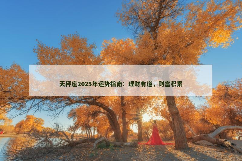 天秤座2025年运势指南：理财有道，财富积累