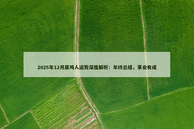 2025年12月属鸡人运势深度解析:年终总结,事业有成