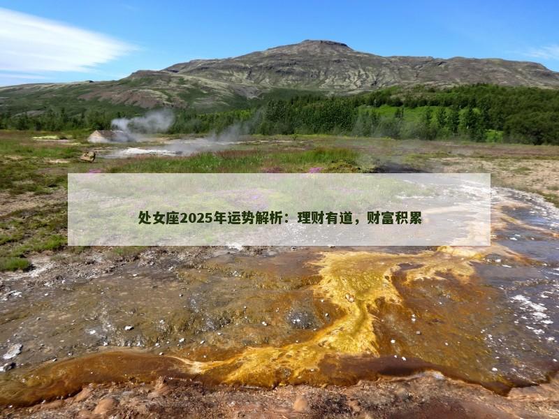 处女座2025年运势解析:理财有道,财富积累