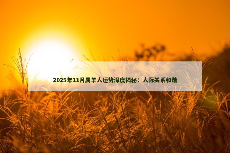 2025年11月属羊人运势深度揭秘：人际关系和谐