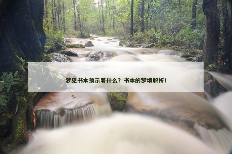 梦见书本预示着什么?书本的梦境解析!
