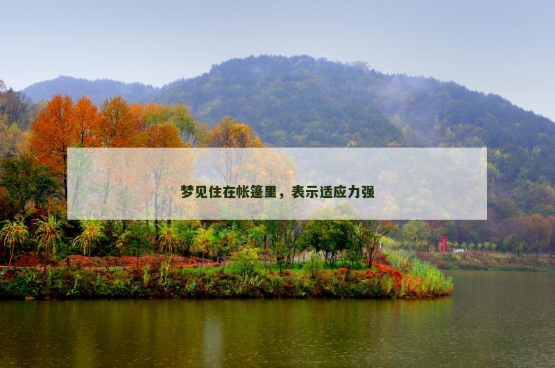梦见住在帐篷里，表示适应力强