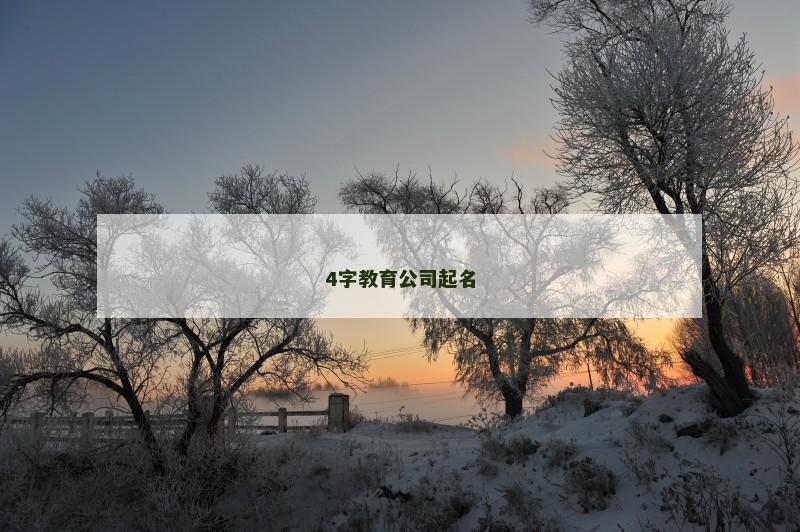 4字教育公司起名