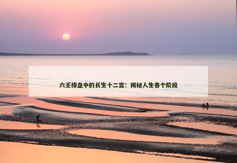六壬排盘中的长生十二宫:揭秘人生各个阶段