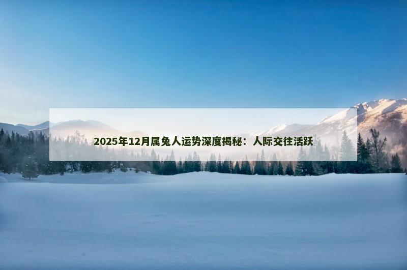 2025年12月属兔人运势深度揭秘：人际交往活跃