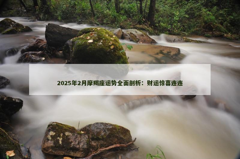 2025年2月摩羯座运势全面剖析:财运惊喜连连