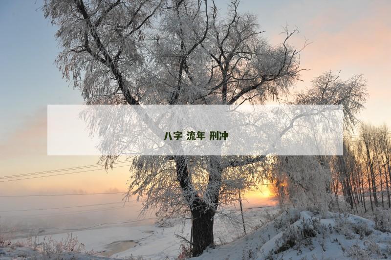 八字 流年 刑冲