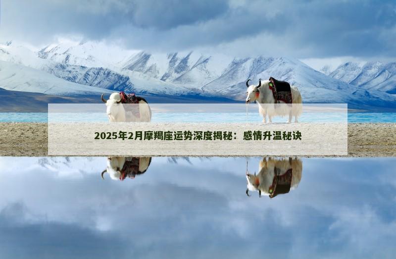 2025年2月摩羯座运势深度揭秘:感情升温秘诀