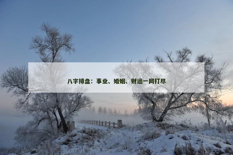 八字排盘:事业、婚姻、财运一网打尽
