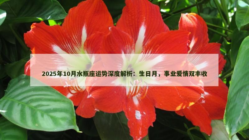 2025年10月水瓶座运势深度解析:生日月,事业爱情双丰收