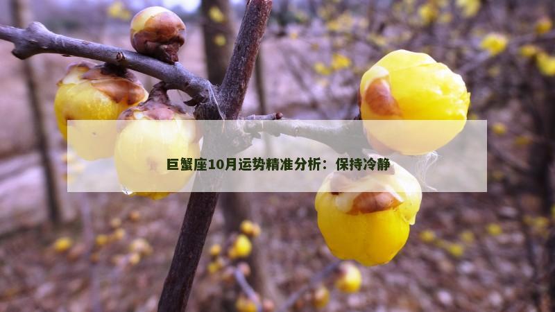 巨蟹座10月运势精准分析:保持冷静