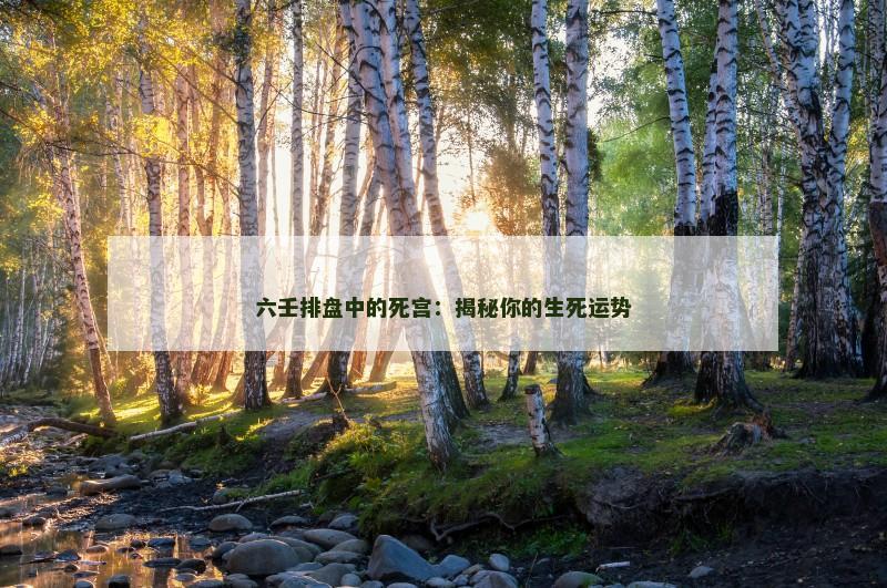 六壬排盘中的死宫：揭秘你的生死运势