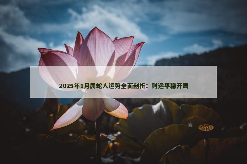 2025年1月属蛇人运势全面剖析：财运平稳开局