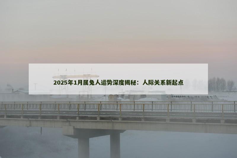 2025年1月属兔人运势深度揭秘:人际关系新起点 2025年1月属兔人运势深度揭秘:人际关系新起点