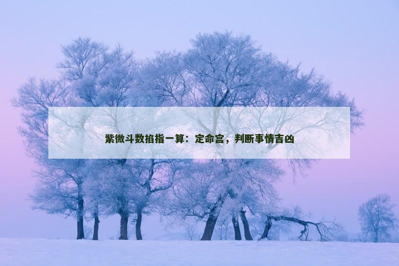 紫微斗数掐指一算:定命宫,判断事情吉凶