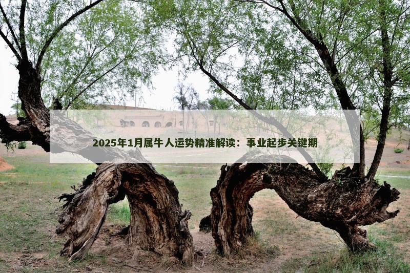 2025年1月属牛人运势精准解读：事业起步关键期