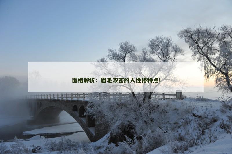 面相解析：眉毛浓密的人性格特点！