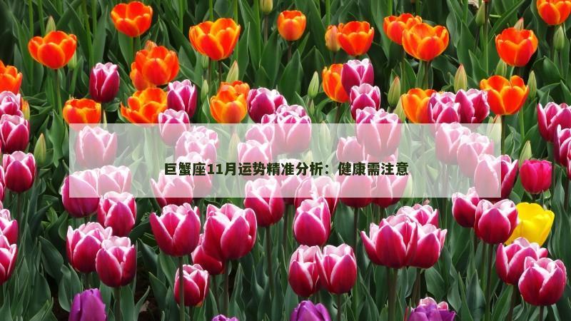 巨蟹座11月运势精准分析：健康需注意