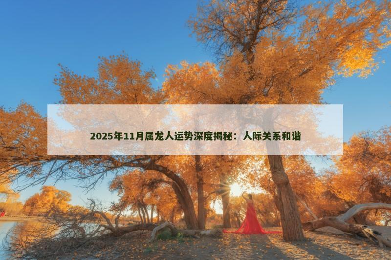 2025年11月属龙人运势深度揭秘：人际关系和谐