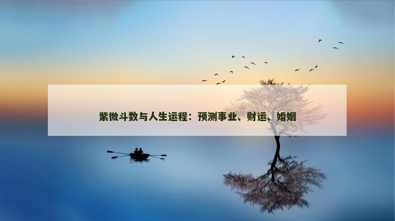 紫微斗数与人生运程:预测事业、财运、婚姻