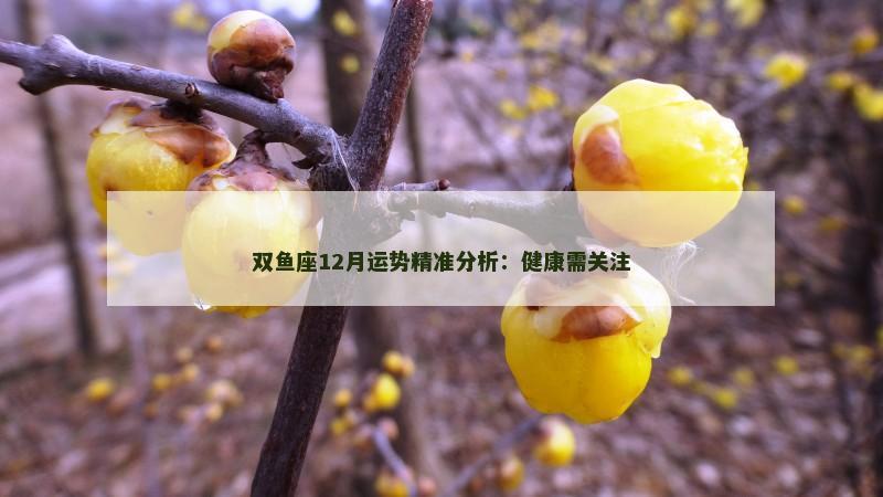双鱼座12月运势精准分析：健康需关注