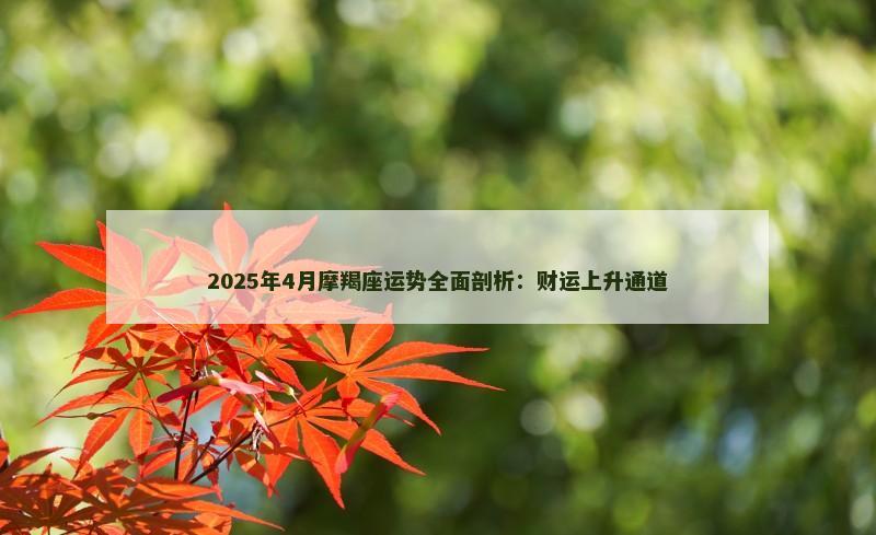 2025年4月摩羯座运势全面剖析:财运上升通道
