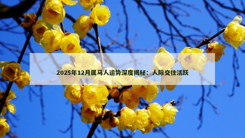 2025年12月属马人运势深度揭秘：人际交往活跃