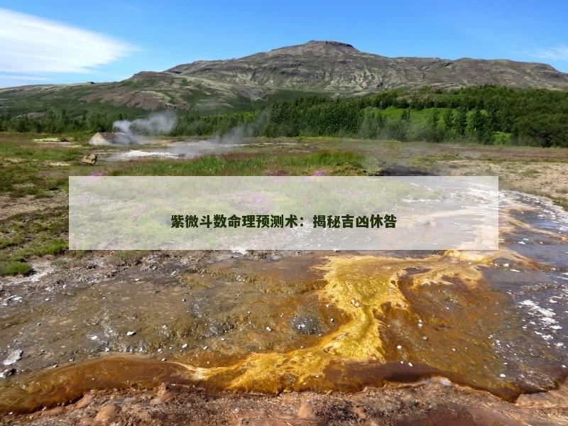 紫微斗数命理预测术:揭秘吉凶休咎