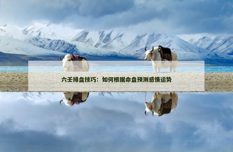 六壬排盘技巧:如何根据命盘预测感情运势