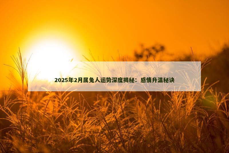 2025年2月属兔人运势深度揭秘：感情升温秘诀