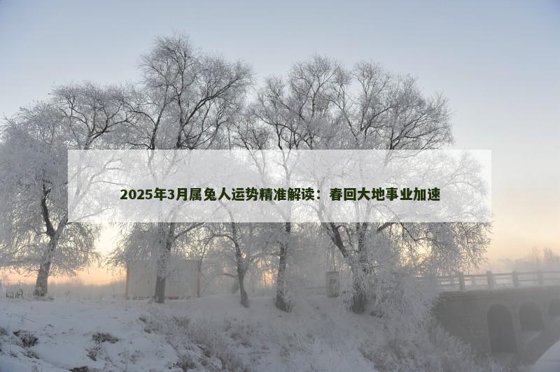 2025年3月属兔人运势精准解读：春回大地事业加速