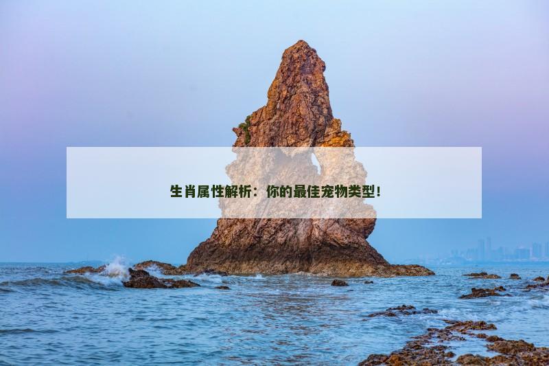 生肖属性解析:你的最佳宠物类型!