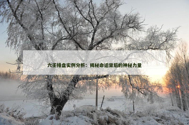 六壬排盘实例分析:揭秘命运背后的神秘力量