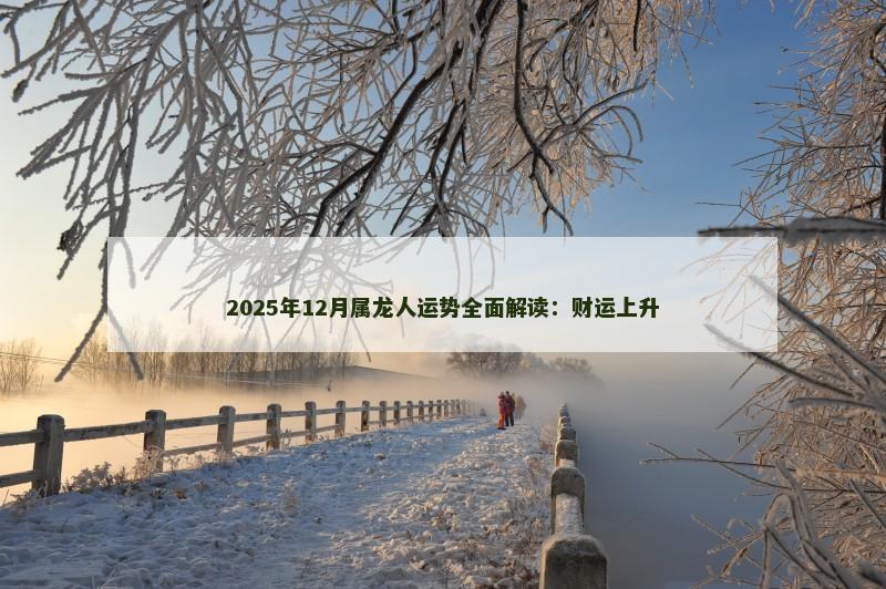 2025年12月属龙人运势全面解读：财运上升