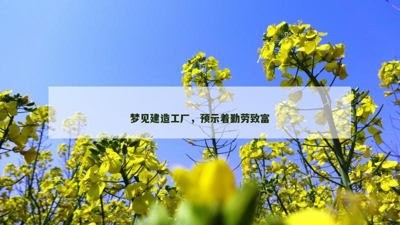 梦见建造工厂，预示着勤劳致富
