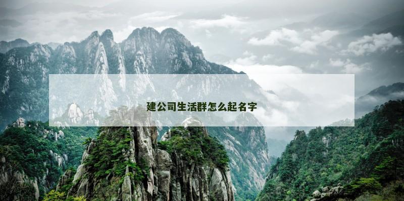 建公司生活群怎么起名字