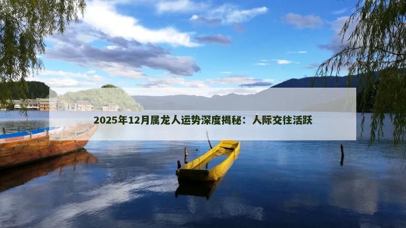 2025年12月属龙人运势深度揭秘：人际交往活跃