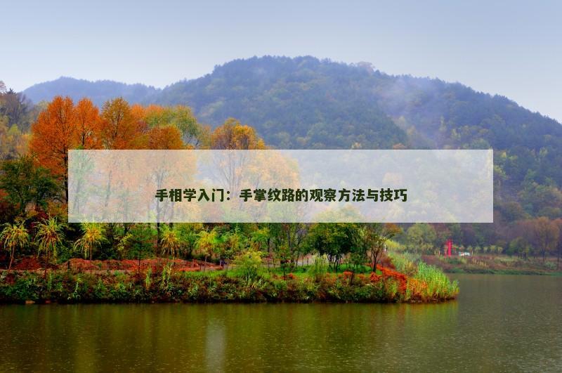 手相学入门：手掌纹路的观察方法与技巧