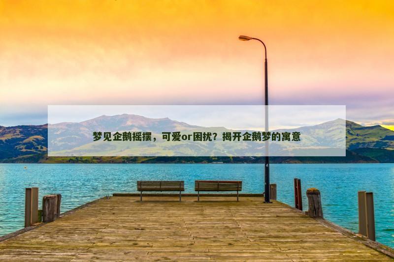 梦见企鹅摇摆,可爱or困扰?揭开企鹅梦的寓意
