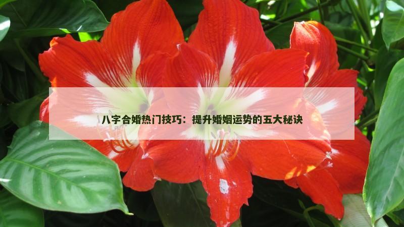 八字合婚热门技巧：提升婚姻运势的五大秘诀