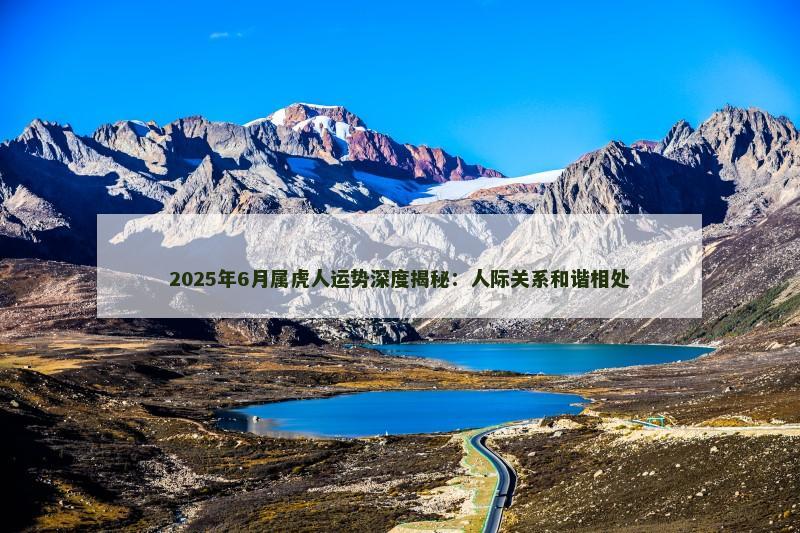 2025年6月属虎人运势深度揭秘：人际关系和谐相处