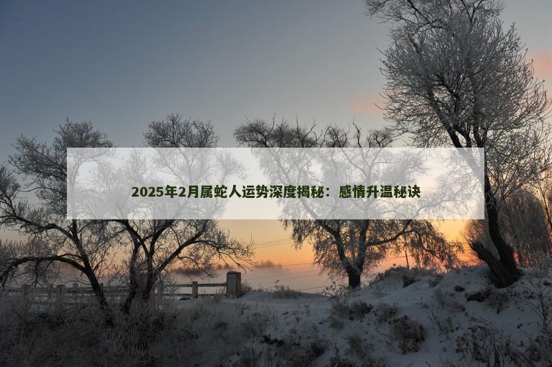 2025年2月属蛇人运势深度揭秘：感情升温秘诀