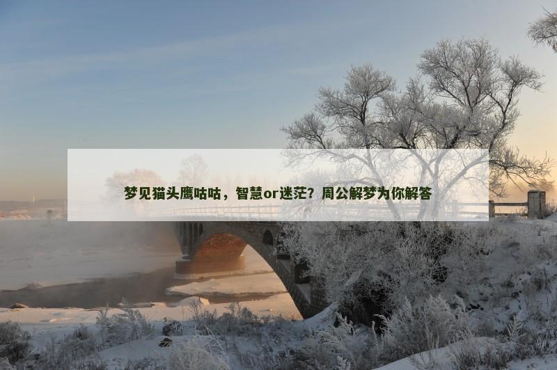 梦见猫头鹰咕咕,智慧or迷茫?周公解梦为你解答