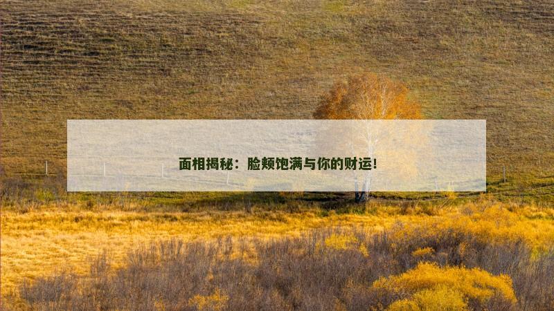 面相揭秘：脸颊饱满与你的财运！