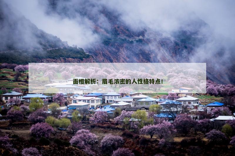 面相解析：眉毛浓密的人性格特点！