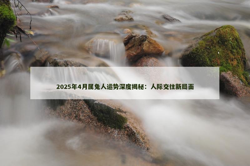 2025年4月属兔人运势深度揭秘：人际交往新局面