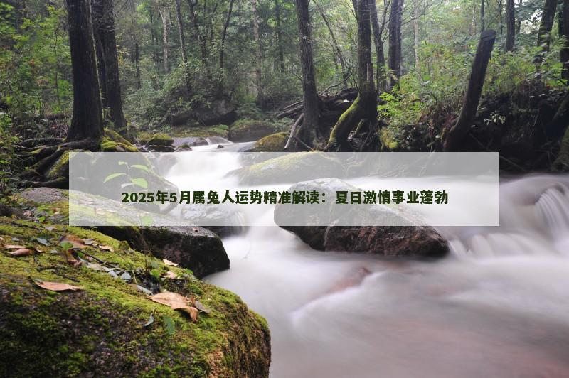 2025年5月属兔人运势精准解读：夏日激情事业蓬勃